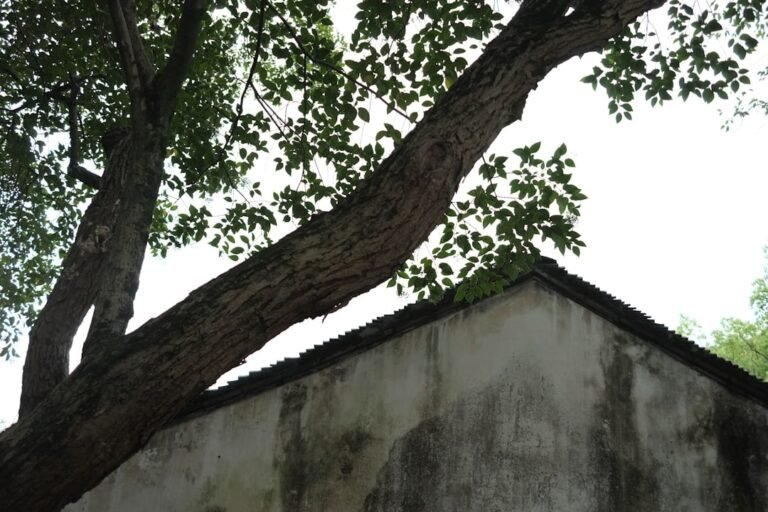 সোনালি ব্যাংক একাউন্ট খোলার নিয়ম